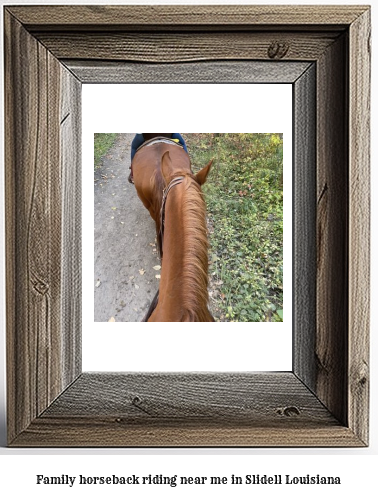 family horseback riding near me in Slidell, Louisiana